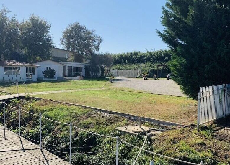 تختخواب و صبحانه Davidon Yacht