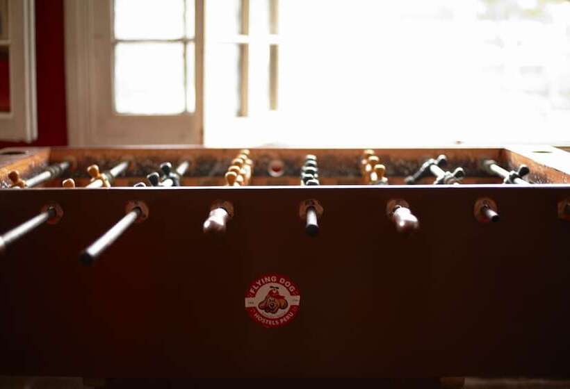 Flying Dog Backpackers Hostel