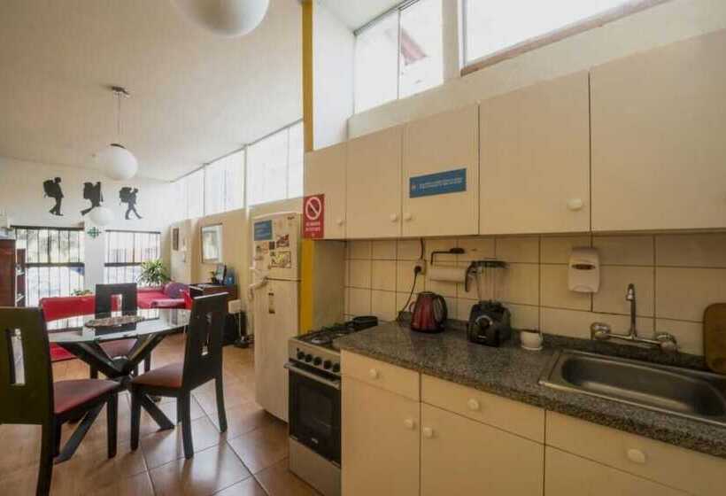 Flying Dog Backpackers Hostel