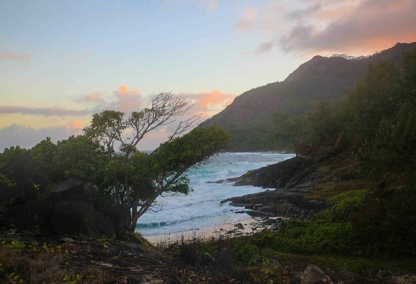 هتل La Belle Tortue