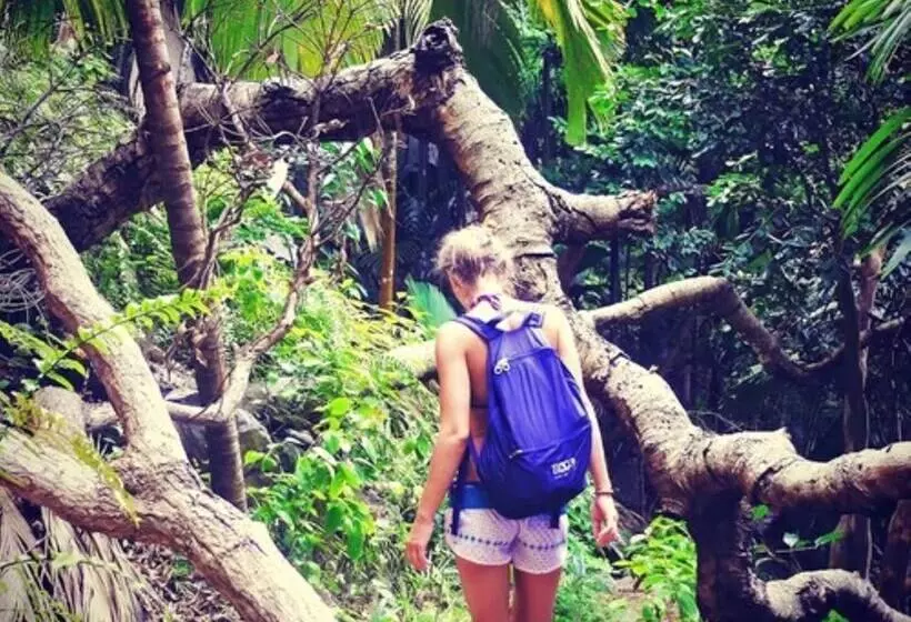 هتل La Belle Tortue