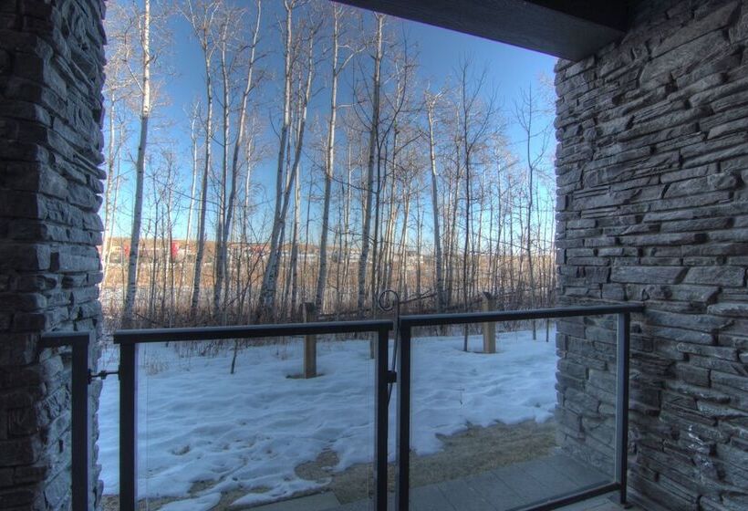 هتل Pinnacle Inn & Suites Aspen