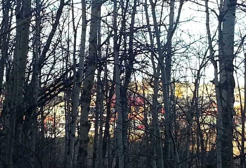 هتل Pinnacle Inn & Suites Aspen