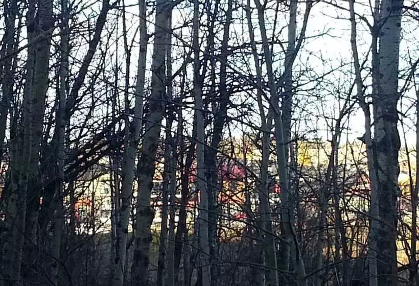 هتل Pinnacle Inn & Suites Aspen