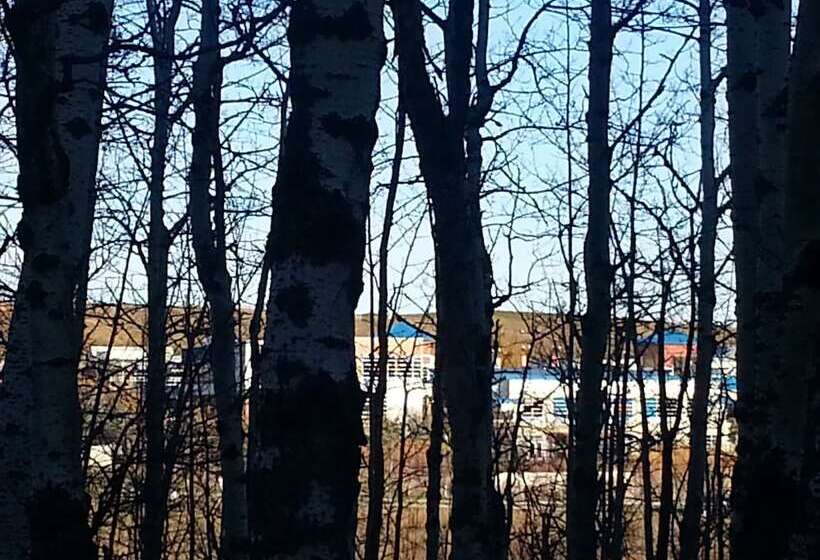 هتل Pinnacle Inn & Suites Aspen