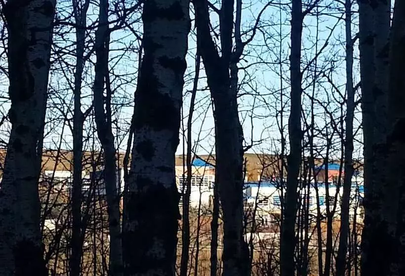 هتل Pinnacle Inn & Suites Aspen