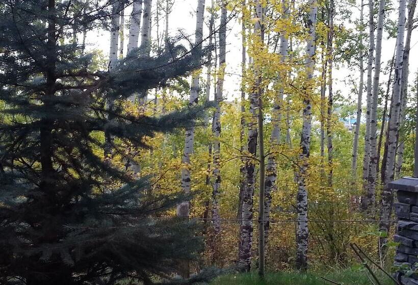 هتل Pinnacle Inn & Suites Aspen