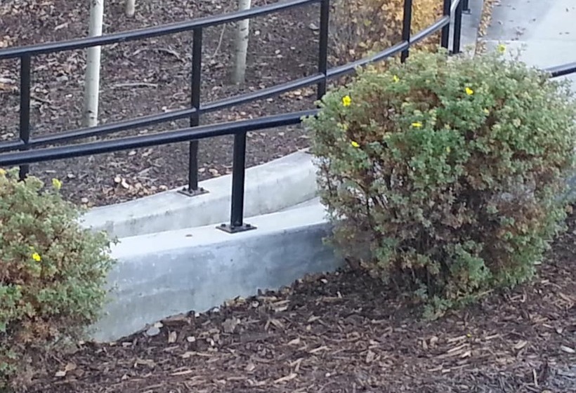 هتل Pinnacle Inn & Suites Aspen