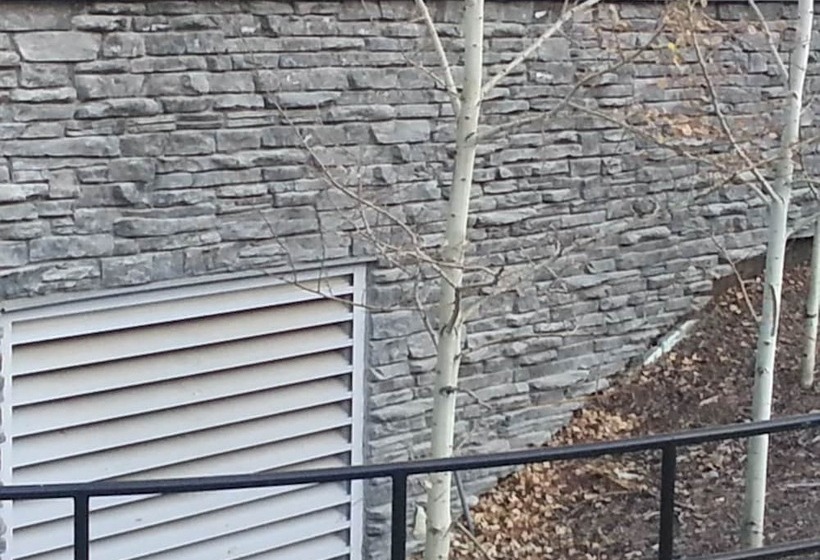 هتل Pinnacle Inn & Suites Aspen