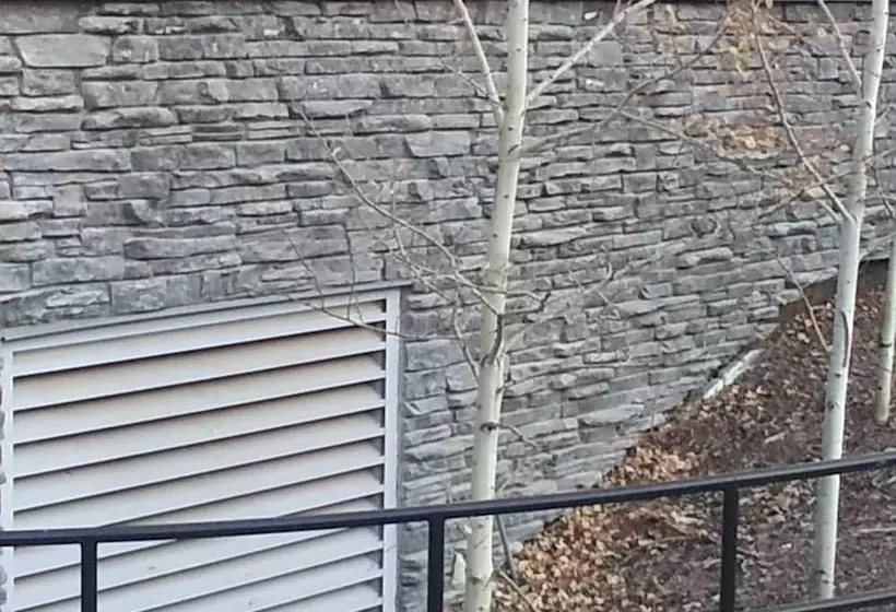 هتل Pinnacle Inn & Suites Aspen