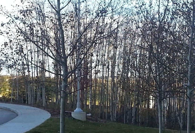 هتل Pinnacle Inn & Suites Aspen