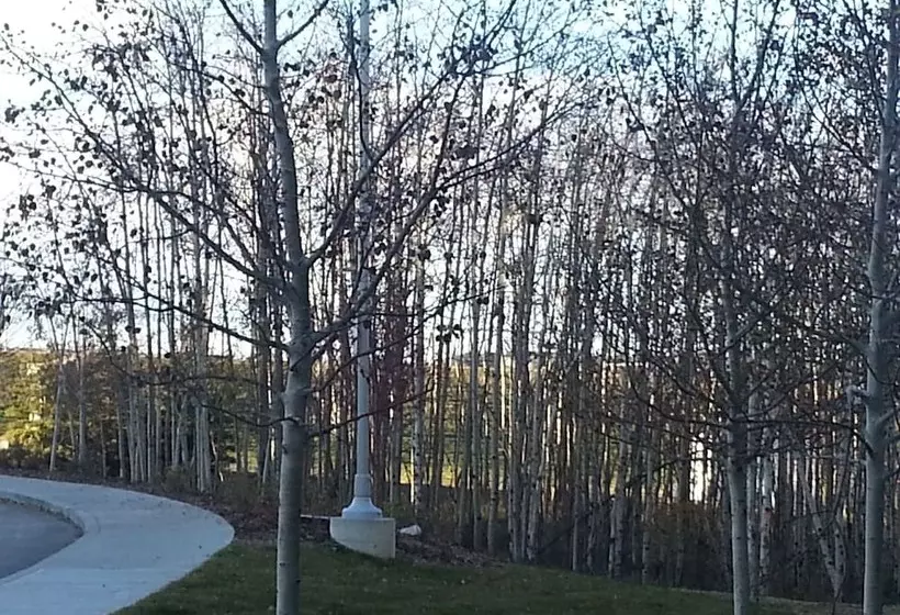 هتل Pinnacle Inn & Suites Aspen