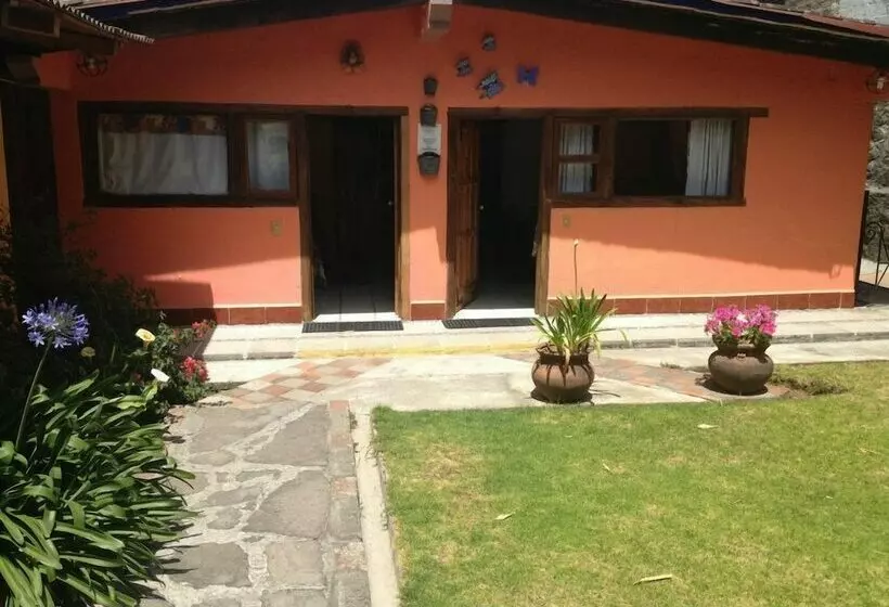 ホテル Posada Del Bosque