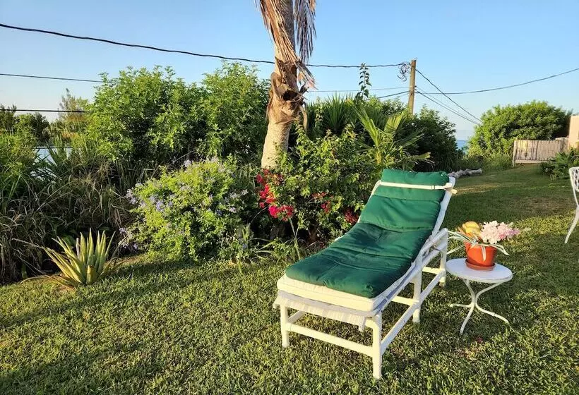 پانسیون Bermuda Connections Guest House