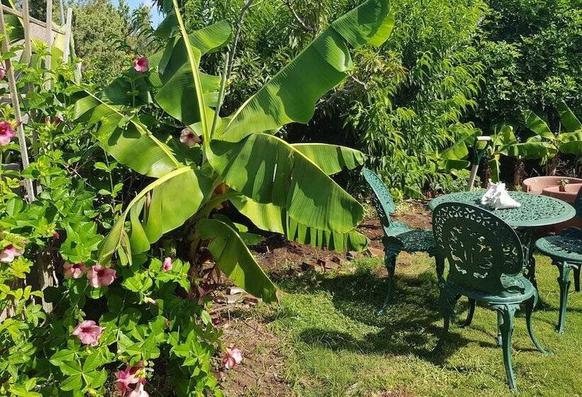 پانسیون Bermuda Connections Guest House