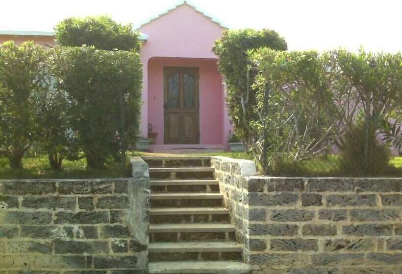 پانسیون Bermuda Connections Guest House