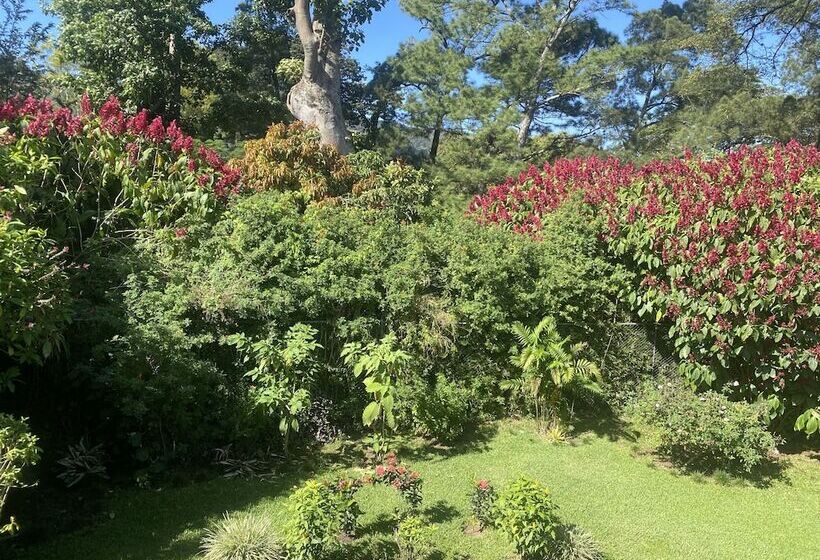 Tierra Magica B&b And Art Studio