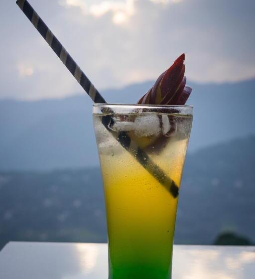 Hotel Shinkham Grand