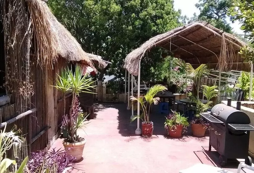 فندق صغير Maya Cha An Guesthouse