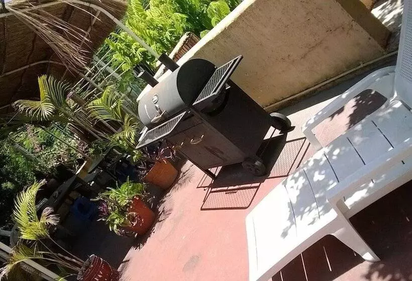 فندق صغير Maya Cha An Guesthouse