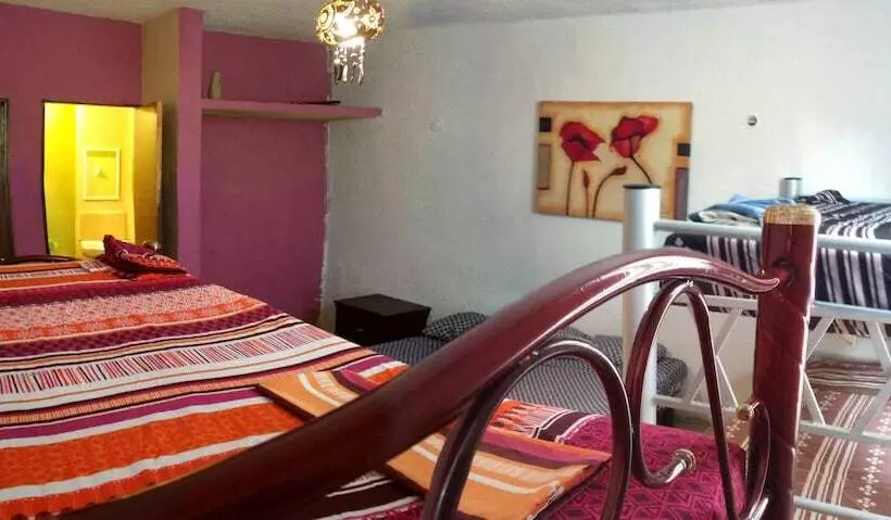 فندق صغير Maya Cha An Guesthouse