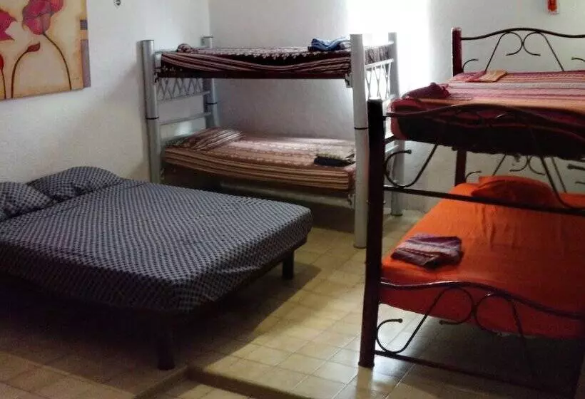 فندق صغير Maya Cha An Guesthouse