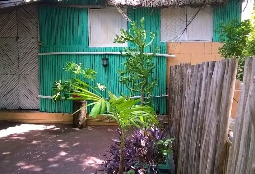 فندق صغير Maya Cha An Guesthouse