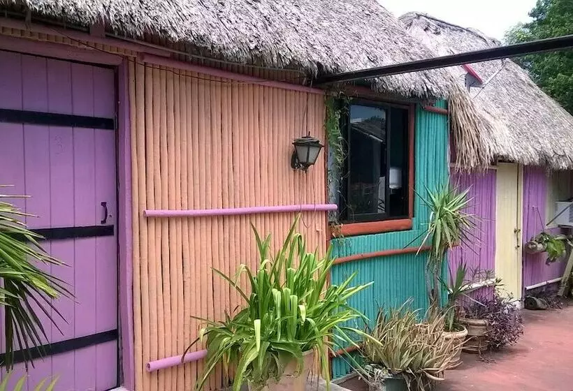 فندق صغير Maya Cha An Guesthouse