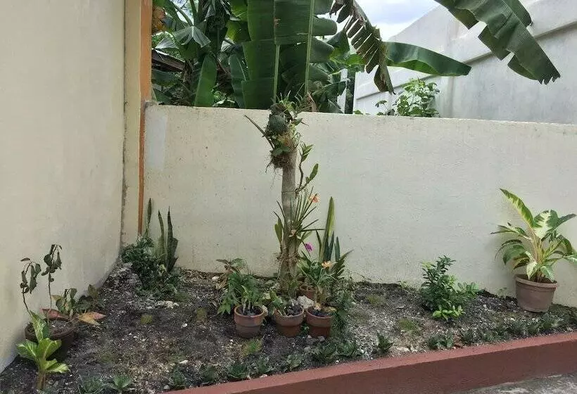 ベッドアンドブレックファースト Gemini Hotel And Restaurant