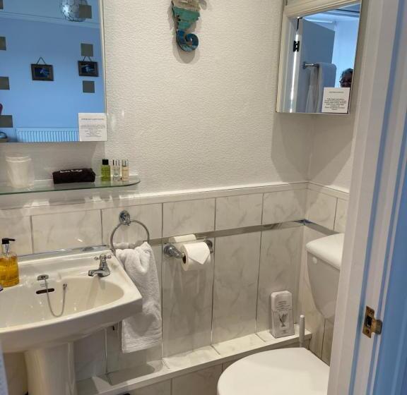 Aamiaismajoitus (B&B) Nythfa Guest House