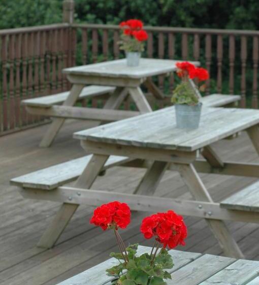 Bed and Breakfast Queens Head