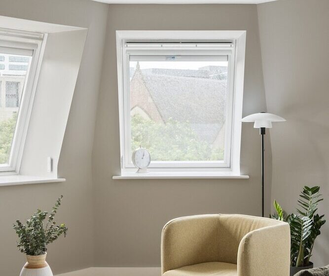 Cove Minshull Street