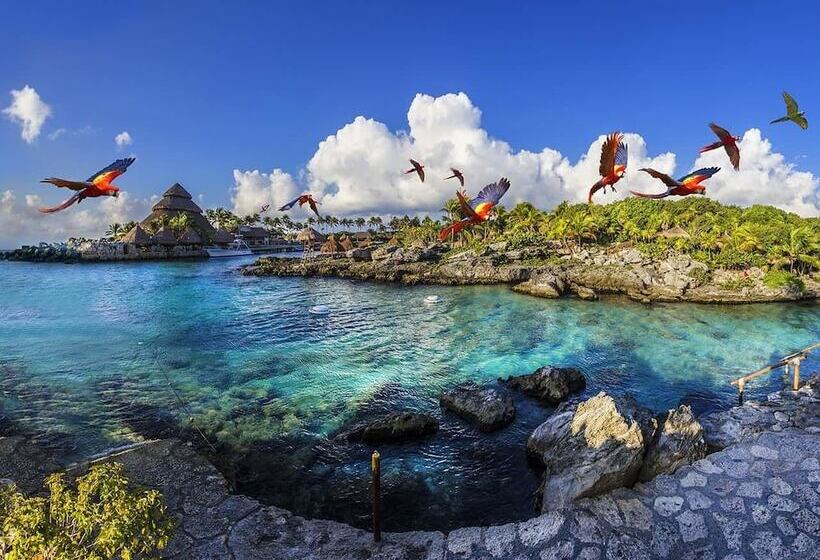 فندق Beach Balance 5th By Bfh