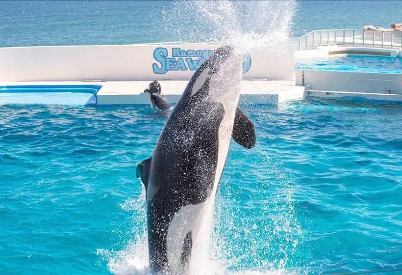 فندق Kamogawa Sea World
