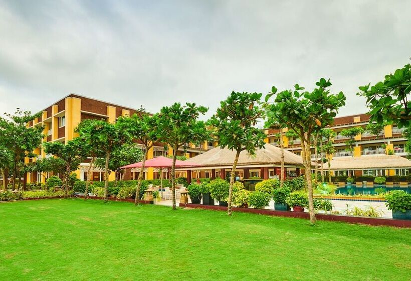 هتل Mayfair Waves