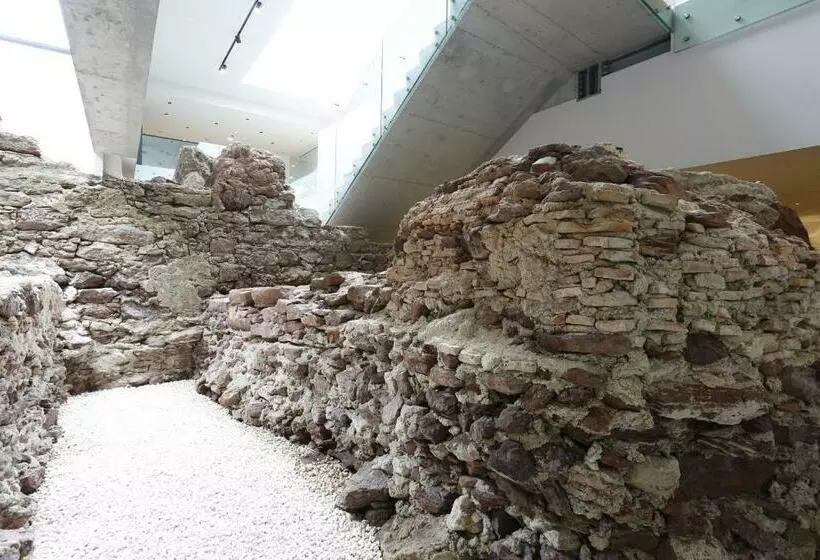 ホテル Montebelo Vista Alegre Ilhavo