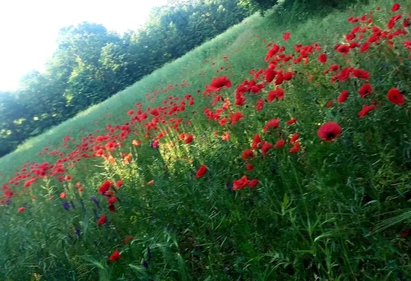 ホテル Nordischer Hof