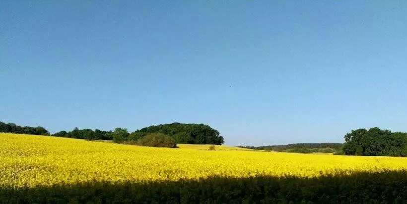 ホテル Nordischer Hof