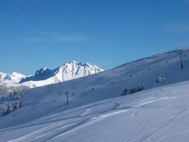 בית מלון כפרי Pineta