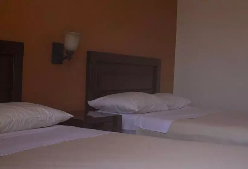 هتل Posada De La Moneda