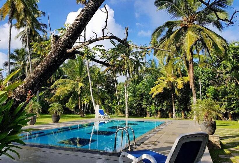 ホテル Villa Velmarie Yoga And Ayurveda House All Inclusive