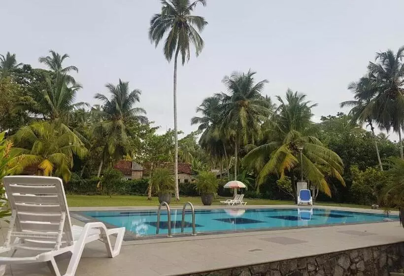 ホテル Villa Velmarie Yoga And Ayurveda House All Inclusive