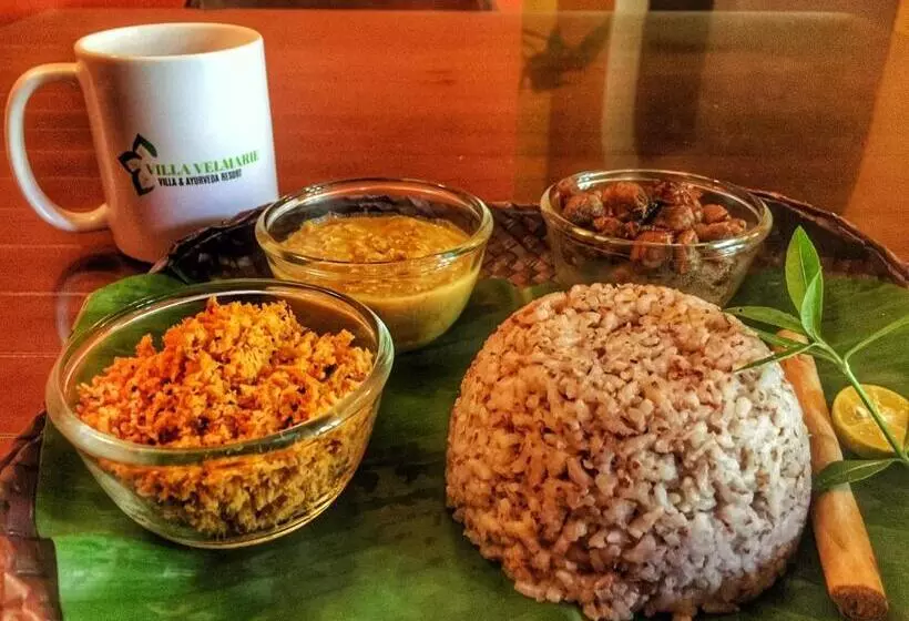 ホテル Villa Velmarie Yoga And Ayurveda House All Inclusive