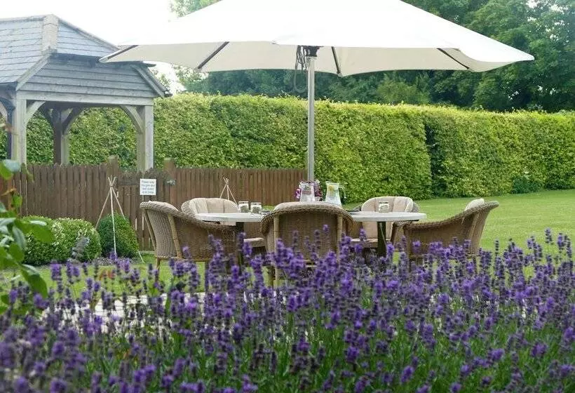 Overtown Manor Bed And Breakfast