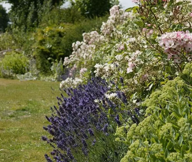 Overtown Manor Bed And Breakfast