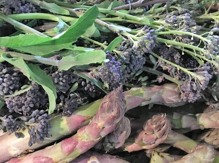 Overtown Manor Bed And Breakfast