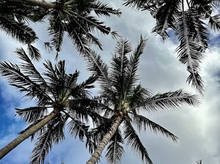 منتجع Orlowsky Discovery Candidasa