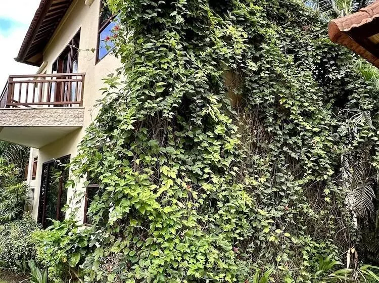 Resort Orlowsky Discovery Candidasa