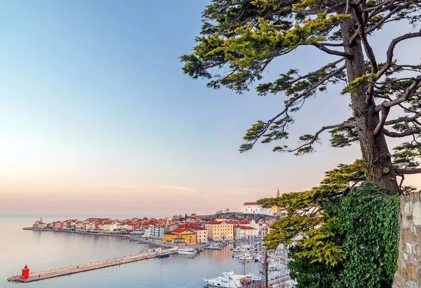 Vila Piranesi Apartments   Parking Included