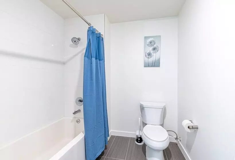 Heaven On Hollywood Furnished Apts   Vine